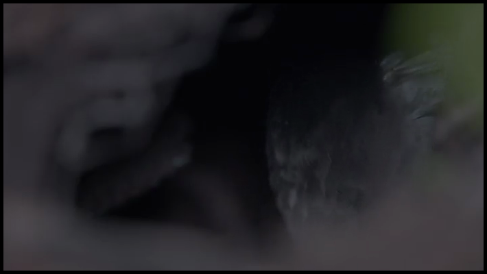 [Image: v00nosqo73lw.png]