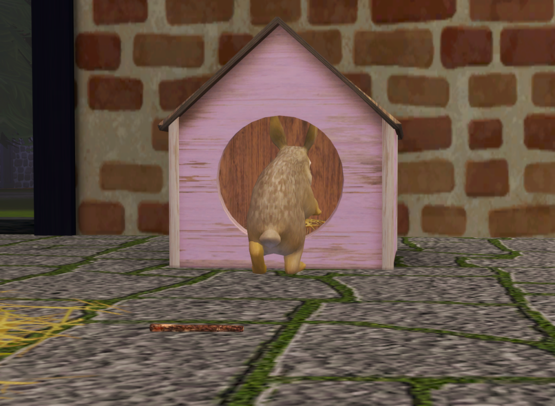 Sims2-EP9-RPC-2024-08-18-14-38-36-66