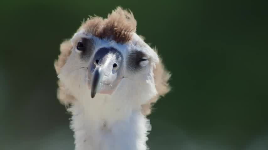 [Image: nn1xfi2b7lx2.jpg]