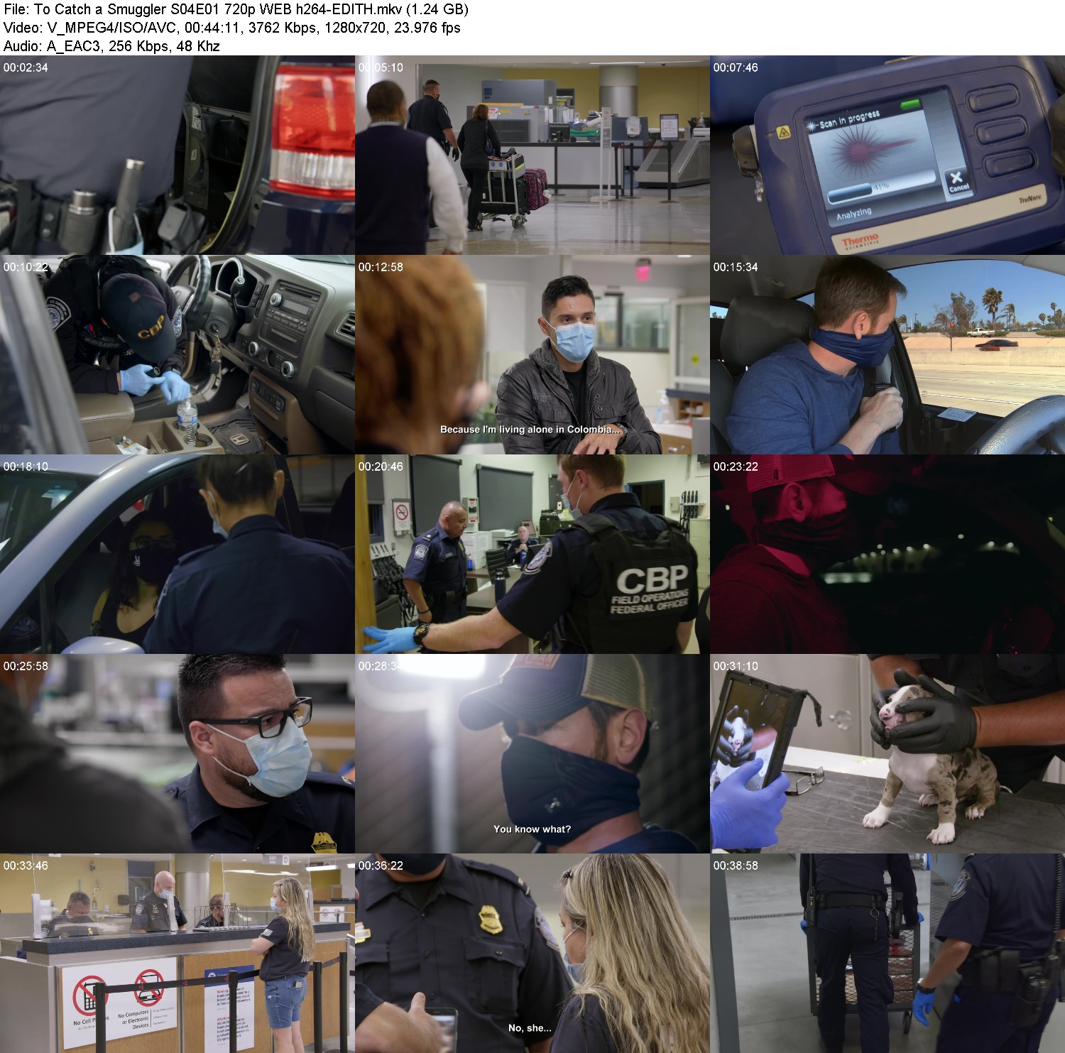 [Image: y8u3nyxlh8x3.jpg]