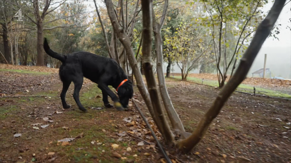 [Image: 27rpuxw9ive9.png]