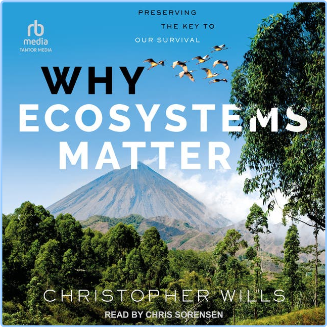 [Image: uf88dxrm1i7w.png]