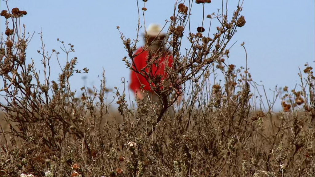 [Image: 7clo2x1ant0h.png]