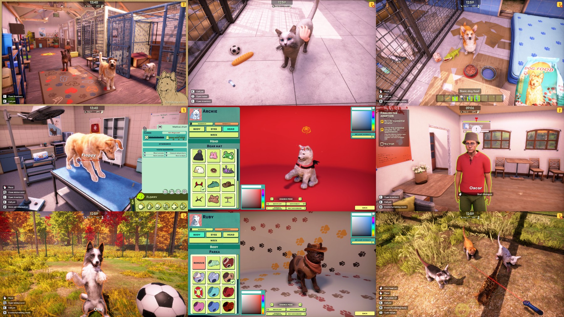 Animal-Shelter-2-Anniversary-Update-v1-4