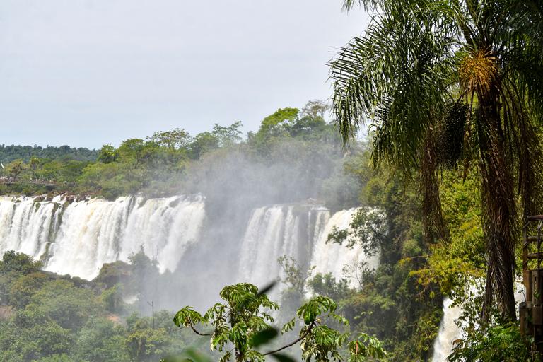В джазе только девушки или аргентинско-бразильский калейдоскоп В джазе только девушки или аргентинско-бразильский калейдоскоп