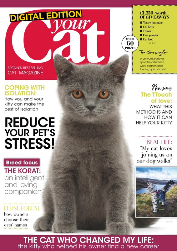 Your-Cat-May-2020.jpg