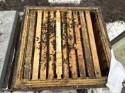 [Obrázky: 2026-01-17-12-28-58.jpg]