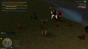 IMG-0605