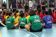 IMG-3529