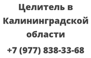 Целитель в Калининградской области