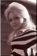 france-anglade-c31