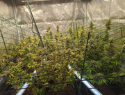 IMG_20250423_232036_268