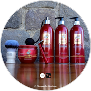 SOTD20240203_Dinamico1