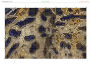 2913246-crosti-ru-color-4