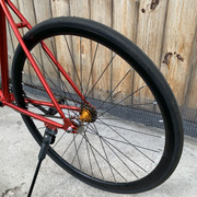IMG-7023.jpg