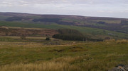 DSCF0041