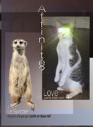 [Image: Love-le-suri-cat.jpg]