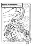 https://i.postimg.cc/7GKcQwmg/raskraska-1699-b.jpg
