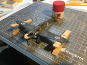 IMG-4803