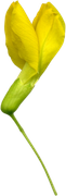 0-1c0e27-626b9e9a-orig