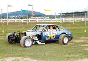George Bouley 36 Pinto Color Pits