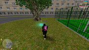 IMG-6480