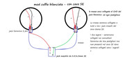 utilizzo sistema bilanciato con cavo single ended  - consiglio su schema Schema-audio-SE