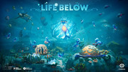 Life-Below.jpg