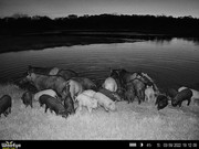 C13E1158-985B-48F7-B34B-C3AA8B785381