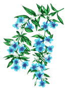 GlamourGirl_MM_Element (116)