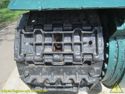 IMG-5263