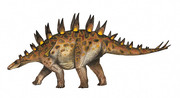 https://i.postimg.cc/7GrNtgQP/Chungkingosaurus-atuchin.jpg