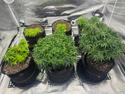 photo 2026 02 12 00 48 31