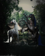 Untitled220_20250527173550