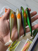 PXL_20250310_131545668