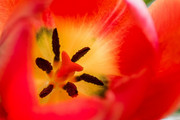 IMG-20190421-182327
