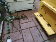 photo_2021-07-28_08-31-55