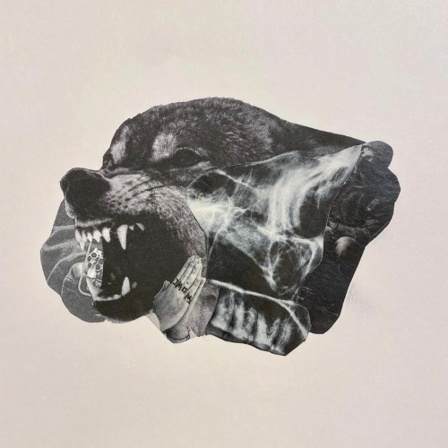 Snotty-Wolves-Dont-Wear-Collars-WEB-2026