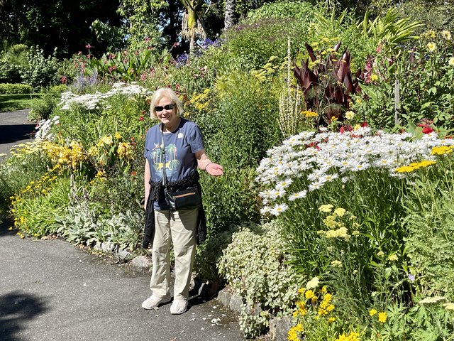 [Linked Image from i.postimg.cc]