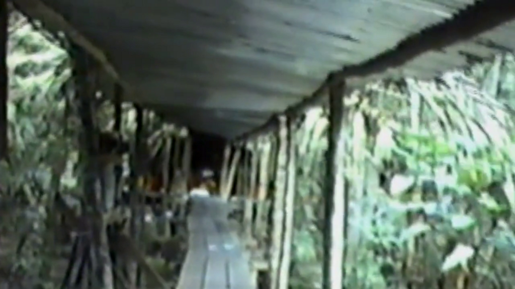 [Image: r2tcok8d87uy.png]