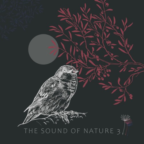 VA - The Sound Of Nature 3 (2026)