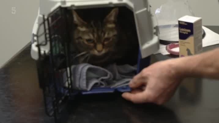 [Image: sjm77qm5x9xg.jpg]