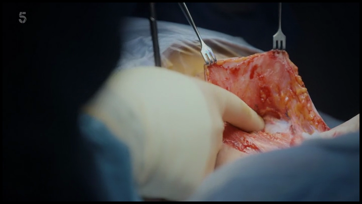 [Image: 08dc4yl9jmuc.png]