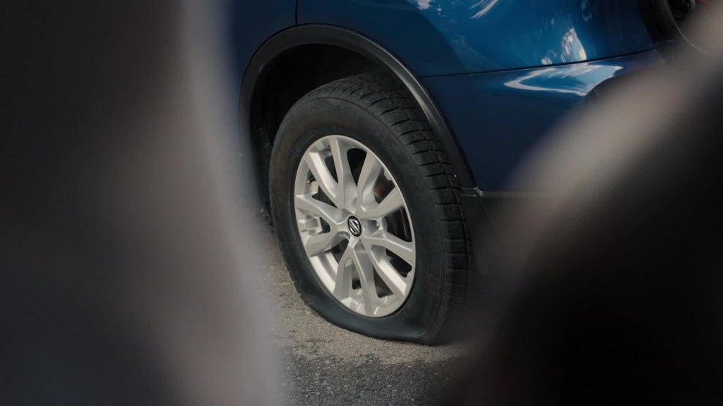 [Image: ss6o8xgei81h.jpg]