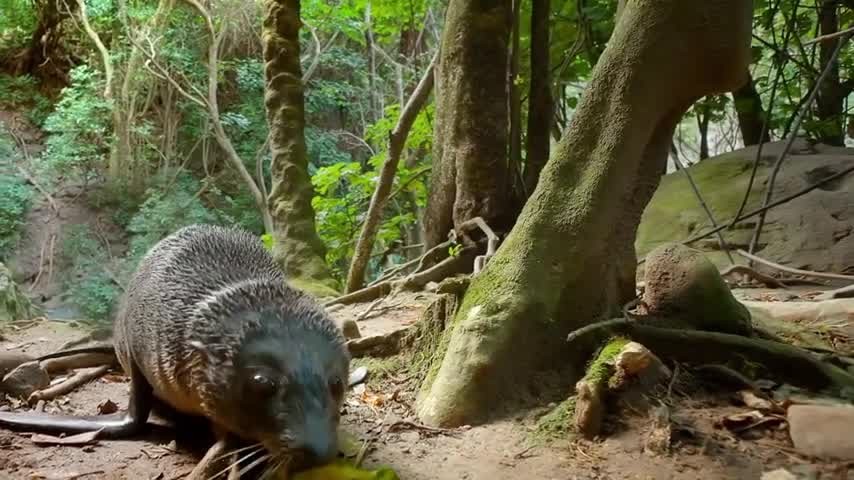 [Image: xj6fi7h6om4a.jpg]