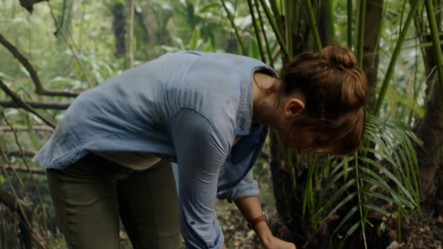 [Image: 3szpp89qvy0n.png]