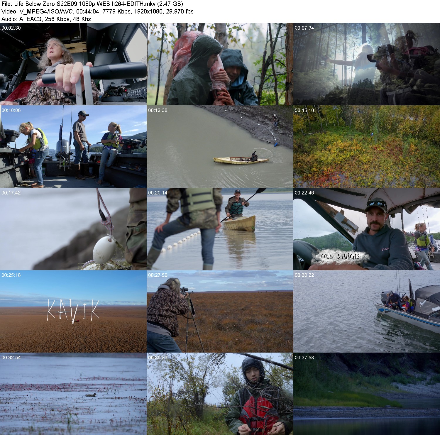 [Image: r8uqh4ic3dr5.jpg]