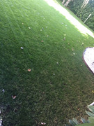 46629B7A-A3CF-475F-B16F-507D8104CCA0