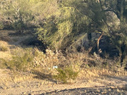 IMG-7507