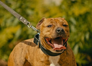 Screenshot_20230708_154818_Gallery